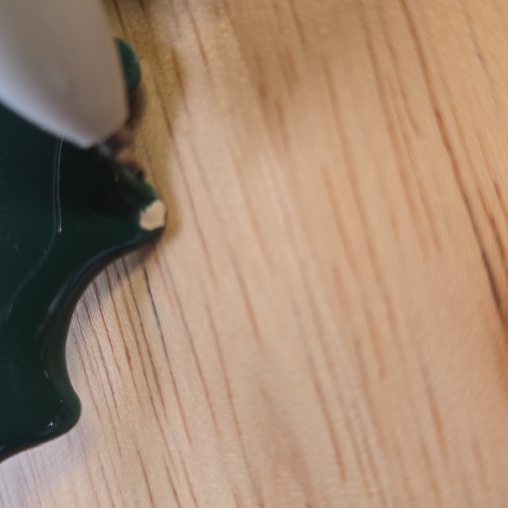 Candace Loheed Ruby Z Ceramic Holly Necklace - image 5